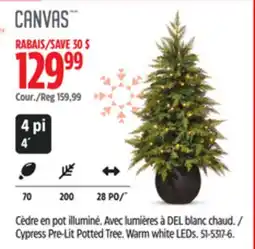 Canadian Tire Canvas Cypress Pre-Lit Potted Tree offer