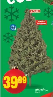 Super C sapin baumier | balsam fir offer