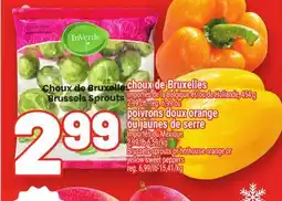 Metro CHOUX DE BRUXELLES | BRUSSELS SPROUTS offer