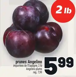 Metro PRUNES ANGELINO | ANGELINO PLUMS offer
