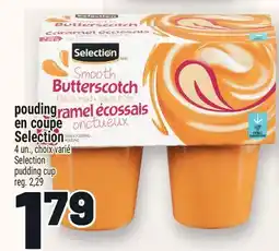 Metro POUDING EN COUPE SELECTION | SELECTION PUDDING CUP offer