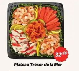 Metro PLATEAU TRÉSOR DE LA MER offer