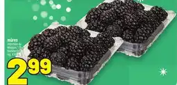 Metro MÛRES | BLACKBERRIES offer