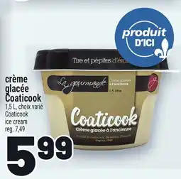 Metro CRÈME GLACÉE COATICOOK | COATICOOK ICE CREAM offer