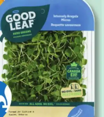 IGA GOOD LEAF FINGERLING POTATOES OR HERO GREENS offer