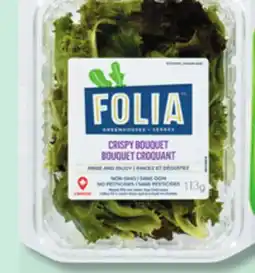 IGA FOLIA BELLA ITALIAN TOMATOES, GREENHOUSE LETTUCE OR ORGANIC NANTES CARROTS offer