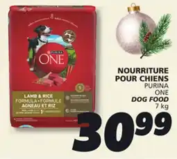 IGA PURINA ONE DOG FOOD offer