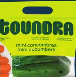IGA COMPLIMENTS CARROTS, YELLOW ONIONS OR SEEDLESS MINI CUCUMBERS offer
