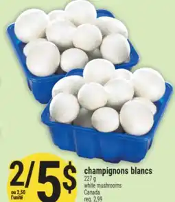Marché Adonis CHAMPIGNONS BLANCS | WHITE MUSHROOMS offer