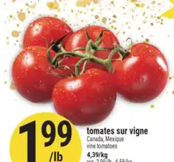 Marché Adonis TOMATES SUR VIGNE | VINE TOMATOES offer