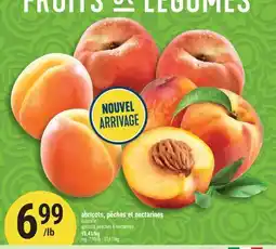 Marché Adonis ABRICOTS, PÊCHES ET NECTARINES | APRICOTS, PEACHES & NECTARINES offer