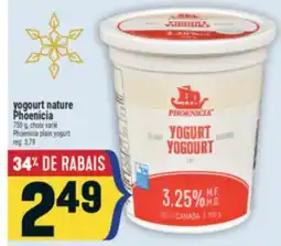 Marché Adonis YOGOURT NATURE PHOENICIA | PHOENICIA PLAIN YOGURT offer