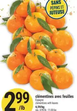 Marché Adonis CLÉMENTINES AVEC FEUILLES | CLEMENTINES WITH LEAVES offer