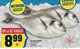 Marché Adonis DAURADE ROYALE | ROYAL SEA BREAM offer