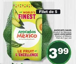 Marches Tradition HASS AVOCADOS offer