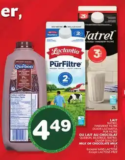 Marches Tradition NATREL OR LACTANTIA OR QUÉBON OR SEALTEST MILK OR CHOCOLATE MILK offer