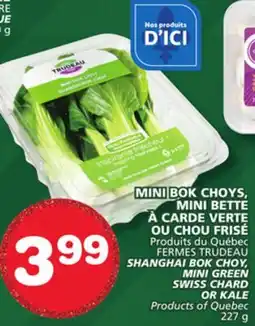 Marches Tradition SHANGHAI BOK CHOY, MINI GREEN SWISS CHARD OR KALE offer