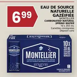 Rachelle-Bery Grocery MONTELLIER CARBONATED NATURAL SPRING WATER offer