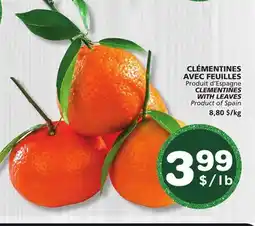 Marches Tradition CLEMENTINES WITH LEAVES offer