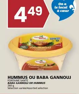 Rachelle-Bery Grocery FONTAINE SANTÉ BABA GANNOUJ OR HUMMUS offer