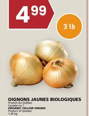 Rachelle-Bery Grocery ORGANIC YELLOW ONIONS offer