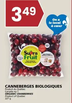 Rachelle-Bery Grocery ORGANIC CRANBERRIES offer