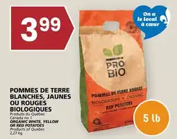 Rachelle-Bery Grocery WHITE, YELLOW OR RED POTATOES OR RED POTATOES offer