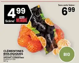 Rachelle-Bery Grocery ORGANIC CLEMENTINES offer