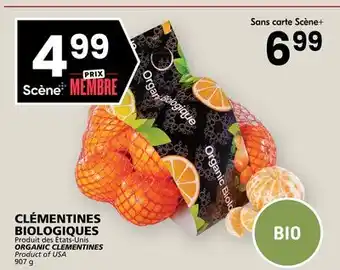 Rachelle-Bery Grocery ORGANIC CLEMENTINES offer