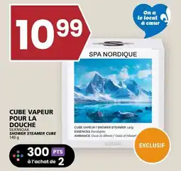 Rachelle-Bery Grocery SILKNSOAK SHOWER STEAMER CUBE offer