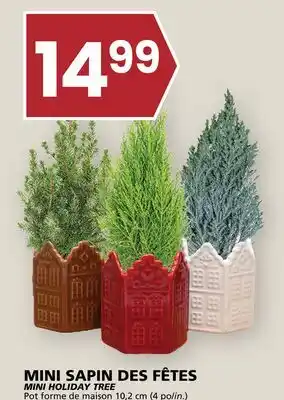 Rachelle-Bery Grocery MINI HOLIDAY TREE offer