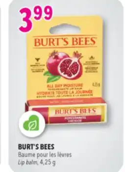 Familiprix Burt's Bees pomegranate lip balm offer