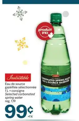 Brunet Eau de source gazéifiée sélectionnée offer