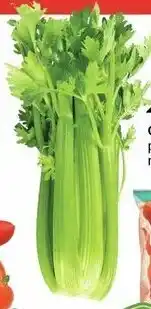 Safeway Celery offer