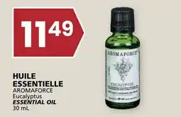Rachelle-Bery Grocery AROMAFORCE Eucalyptus ESSENTIAL OIL offer
