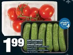 Super C mini concombres | mini cucumbers offer