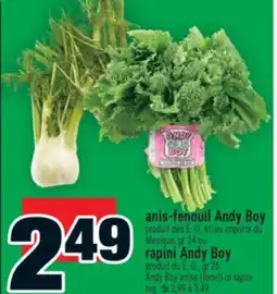 Super C anis-fenouil Andy Boy | rapini Andy Boy offer