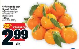 Super C clémentines avec tige et feuilles | clementines with stem and leaves offer