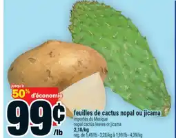 Super C feuilles de cactus nopal ou jicama | nopal cactus leaves or jicama offer