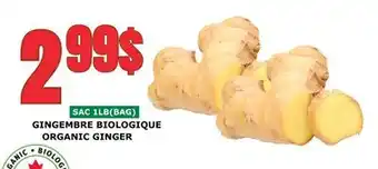 Marches Tau GINGEMBRE BIOLOGIQUE offer