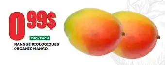 Marches Tau MANGUE BIOLOGIQUE offer