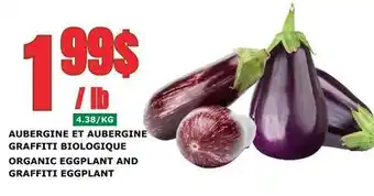 Marches Tau AUBERGINE ET AUBERGINE GRAFFITI BIOLOGIQUE offer