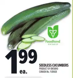 Metro SEEDLESS CUCUMBERS offer