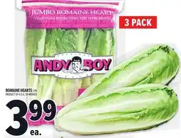Metro ANDY BOY ROMAINE HEARTS offer