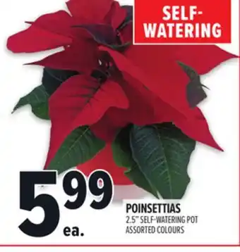 Metro POINSETTIAS offer