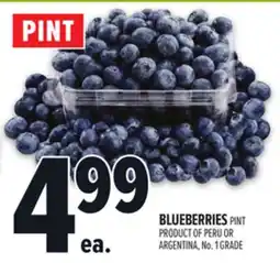 Metro BLUEBERRIES offer