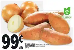 Metro SPANISH ONIONS offer