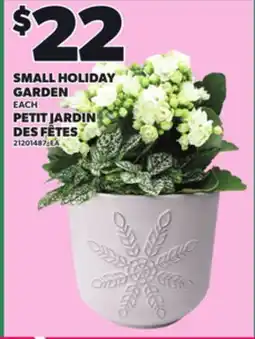 Independent Grocer SMALL HOLIDAY GARDEN, EACH offer