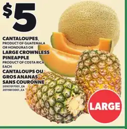 Independent Grocer CANTALOUPES, LARGE CROWNLESS PINEAPPLE, LARGE offer