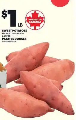 Independent Grocer SWEET POTATOES offer